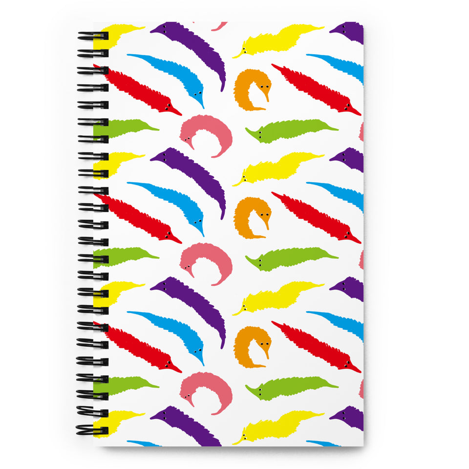 Fun Notebooks
